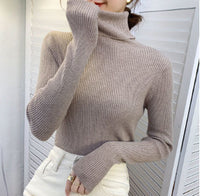Thickening Inner Wear Skinny Versatile Long Sleeve Thermal Turtleneck Sweater For Women