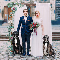 Dog Tuxedo Suit With Bow Tie And Bandana  Adjustable Formal Costumes For Small, Medium, Large Dogs Perfect For Weddings Birthdays