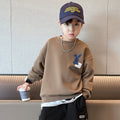 Cotton Composite Children's Sweater Boys