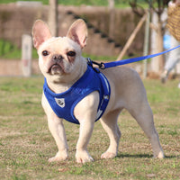 Reflective And Breathable Pet Chest Strap