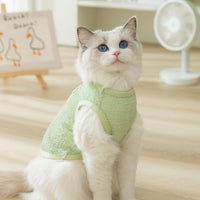 Fashion Hollowed-out Breathable Bear Patch Cat Clothes
