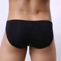 Men's Briefs Youth Ice Silk Transparent