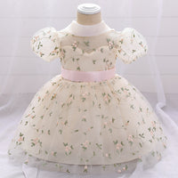 Children's Dress Princess Dress Embroidered Mesh Puffy One Year Old Celebration