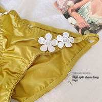 Pure Desire Underwear Women's Silky Embroidered Floral Decorations Low Waist Briefs