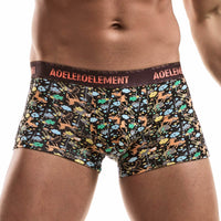 Men's Fashion Casual Modal Printed Shorts
