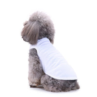 Small Dog Springsummer Thin Pullover Hooded T-shirt