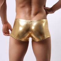 Men's Boyshort Low Waist Underwear Domineering