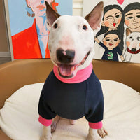 Pet Plus Fleece Warm Fluorescent Contrast Sweater
