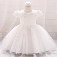 Lace Mesh Princess Tulle Tutu Dress