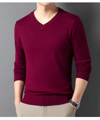 SpringAutumn Sweater V-Neck Top Men's