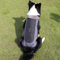 Fur Collar Pet Clothes Reflective Waterproof Dog Cotton-padded Clothes