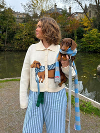 Women's Cute Short Lapels Puppy Sweater