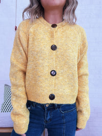 Simple Large Buttons Round Neck Long Sleeve Sweater