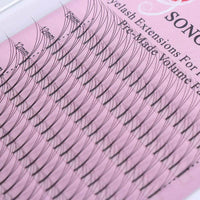 2D-6D Long Root Hairs Grafted Eyelashes 0.10 Single Hairs
