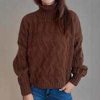 Turtleneck Solid Color Commute Loose Pullover