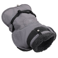 Dog Cotton-padded Clothes Go Out In Autumn And Winter Warm-keeping And Cold-proof Pet Clothes