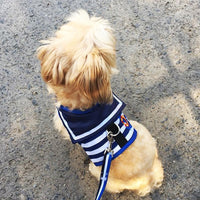 Dog Traction Rope Chest Strap