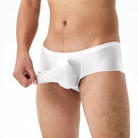 Thin Transparent Highly-elastic Plus Size Men's Low Waist Panties