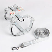 Pet Traction Rope Fashion Lattice Collocation