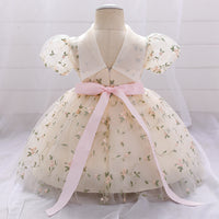 Children's Dress Princess Dress Embroidered Mesh Puffy One Year Old Celebration