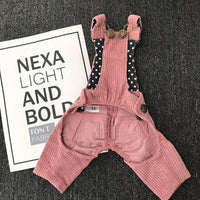 Autumn And Winter Pet Corduroy Overalls