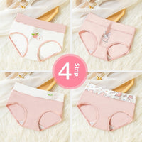 Women's Antibacterial Cotton Underwear