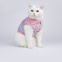 Small Dog Pet Cat Autumn Vest