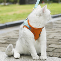 Fashion Small Dog Vest Hand Holding Rope