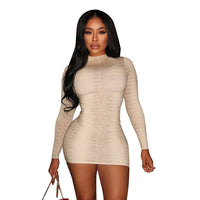 Chic Womens Long-Sleeve Bodycon Snakeskin-Print Sheath Sexy Mini Dress