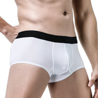 Ice Silk Seamless Boxers Boys Transparent Underpants