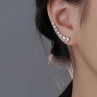 Special Interest Earrings Autumn And Winter High-grade Earrings