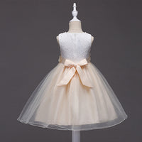 Girls' Chiffon Dress Children's Birthday