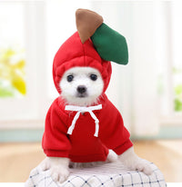 Puppy Dog Teddy Cat Plus Fleece Hooded Sweater Pet Supplies White Carrot
