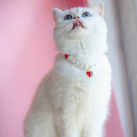 Pet Cat Beads Love Necklace