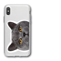 Compatible with Apple , Mobile Phone Creative Transparent Cat Printing Protective Cover