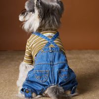 Dog Clothes Autumn And Winter Teddy Schnauzer Bichon Fleece-lined Thickened Handsome Jeans