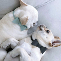 Pet Cute Bow Collar Leash Set