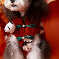 Tony Bear Dog Red Festive Chinese New Year Celebration Clothes