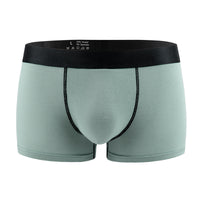 Standard Mens Sexy Underwear Modal Low-rise