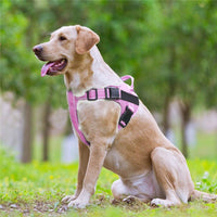 Dog vest chest strap leash