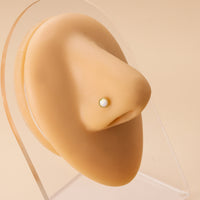 Fashion Nose Ornaments In Europe And America Puncture Ornaments