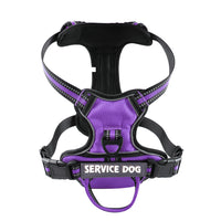Oxford Cloth Strap Personalized Dog Back