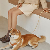 Leash Small And Medium-sized Dog Walking  Leash Chest Strap
