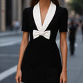 Elegant French-style Womens Dress
