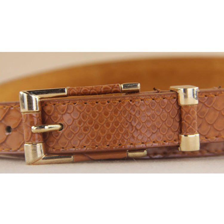 Fashionable Rose Gold Bag Buckle Belt