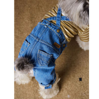 Dog Clothes Autumn And Winter Teddy Schnauzer Bichon Fleece-lined Thickened Handsome Jeans