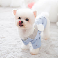 Cat Pullover Thin Fleece Two-legged Spring Sweater