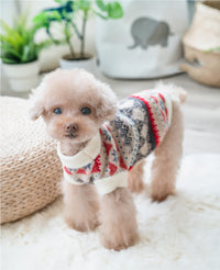 Creative Pattern Imitation Mink Velvet Teddy Clothes