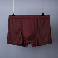 Men's Boxer Plus Size Ice Silk See Through Breathable Mesh Thin Boxer Shorts