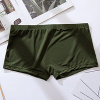 Men's Ice Silk Thin Transparent Boxer Briefs